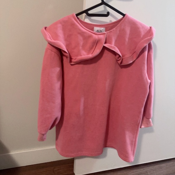Cute Ruffled Collar Sweater/Sweatshirt - Picture 1 of 3